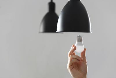  Lamps / Bulbs 